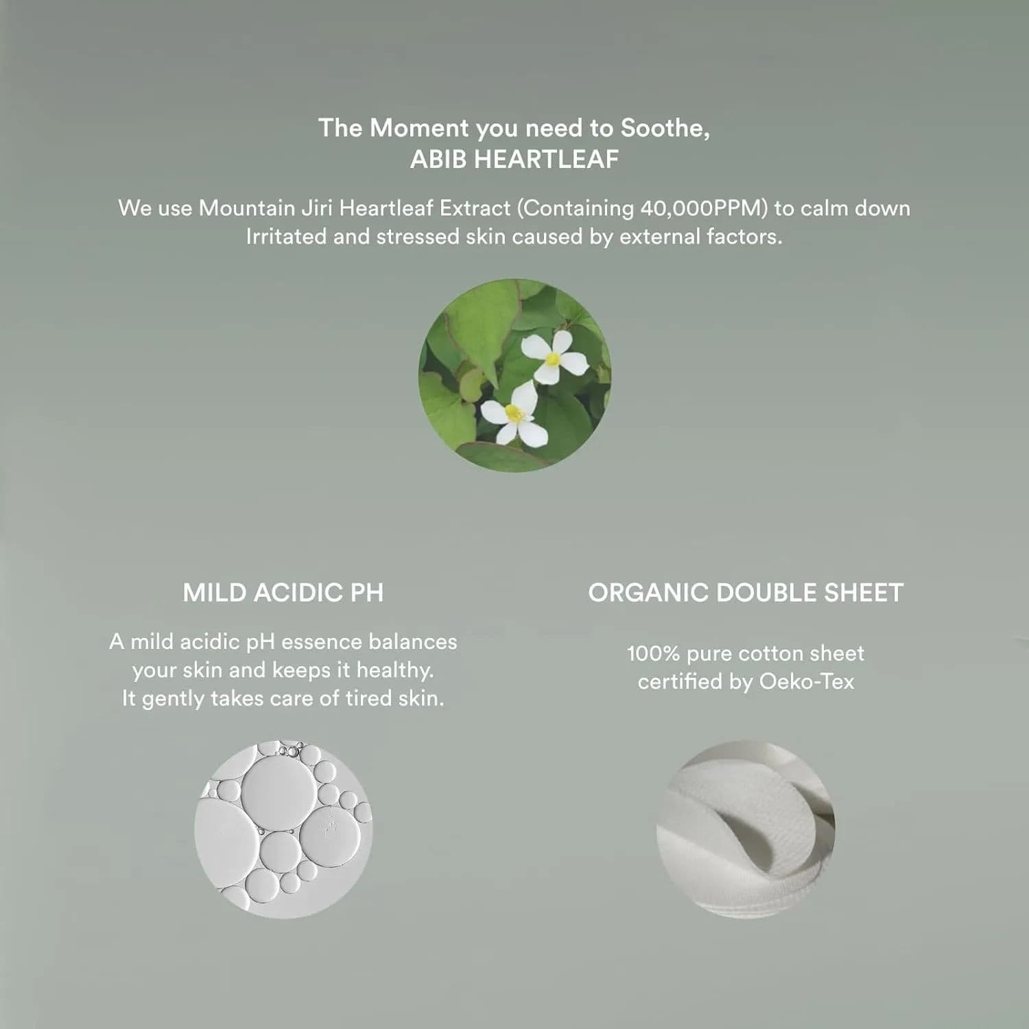 Heartleaf Spot Pad Calming Touch 6