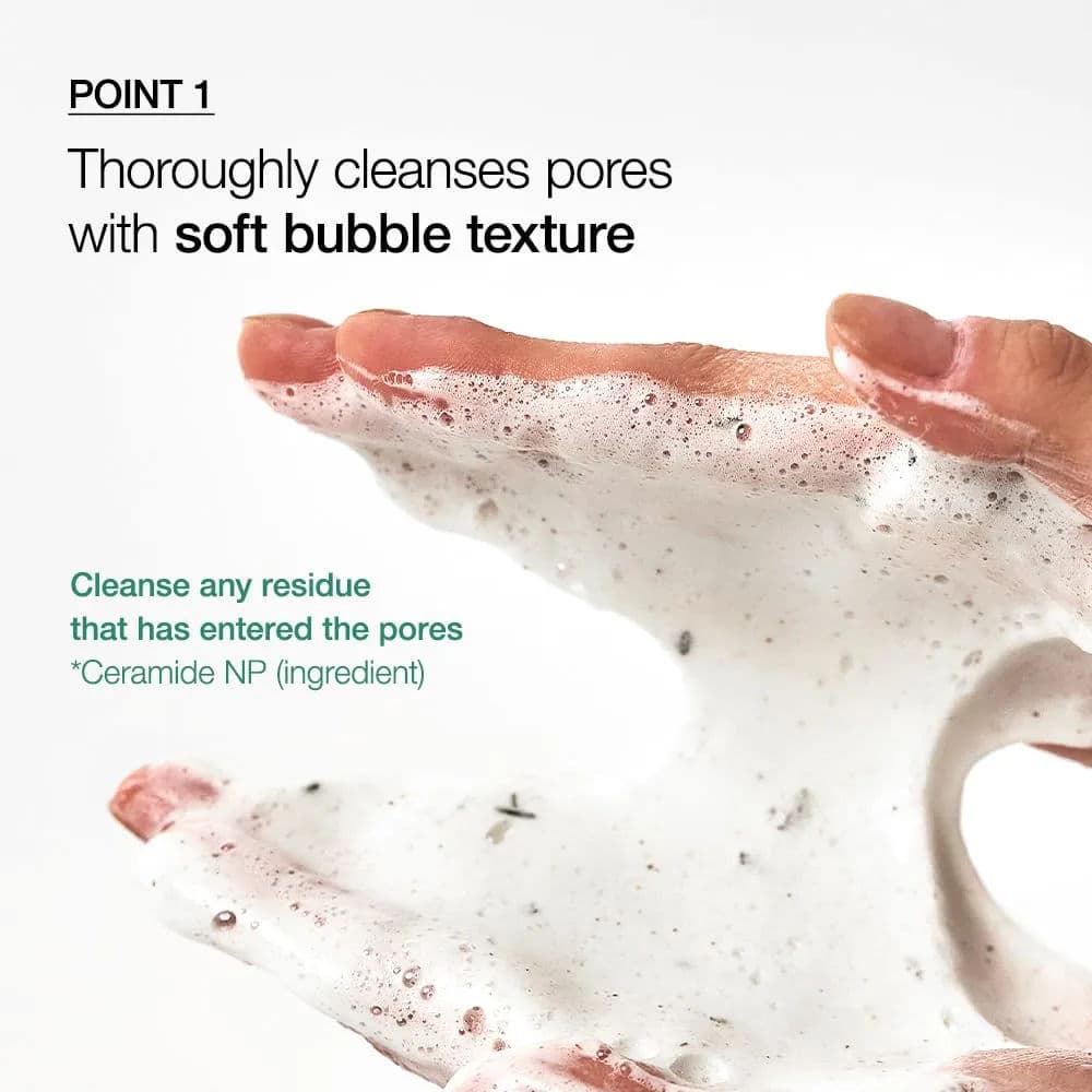 Heartleaf Quercetinol Pore Deep Cleansing Foam 5