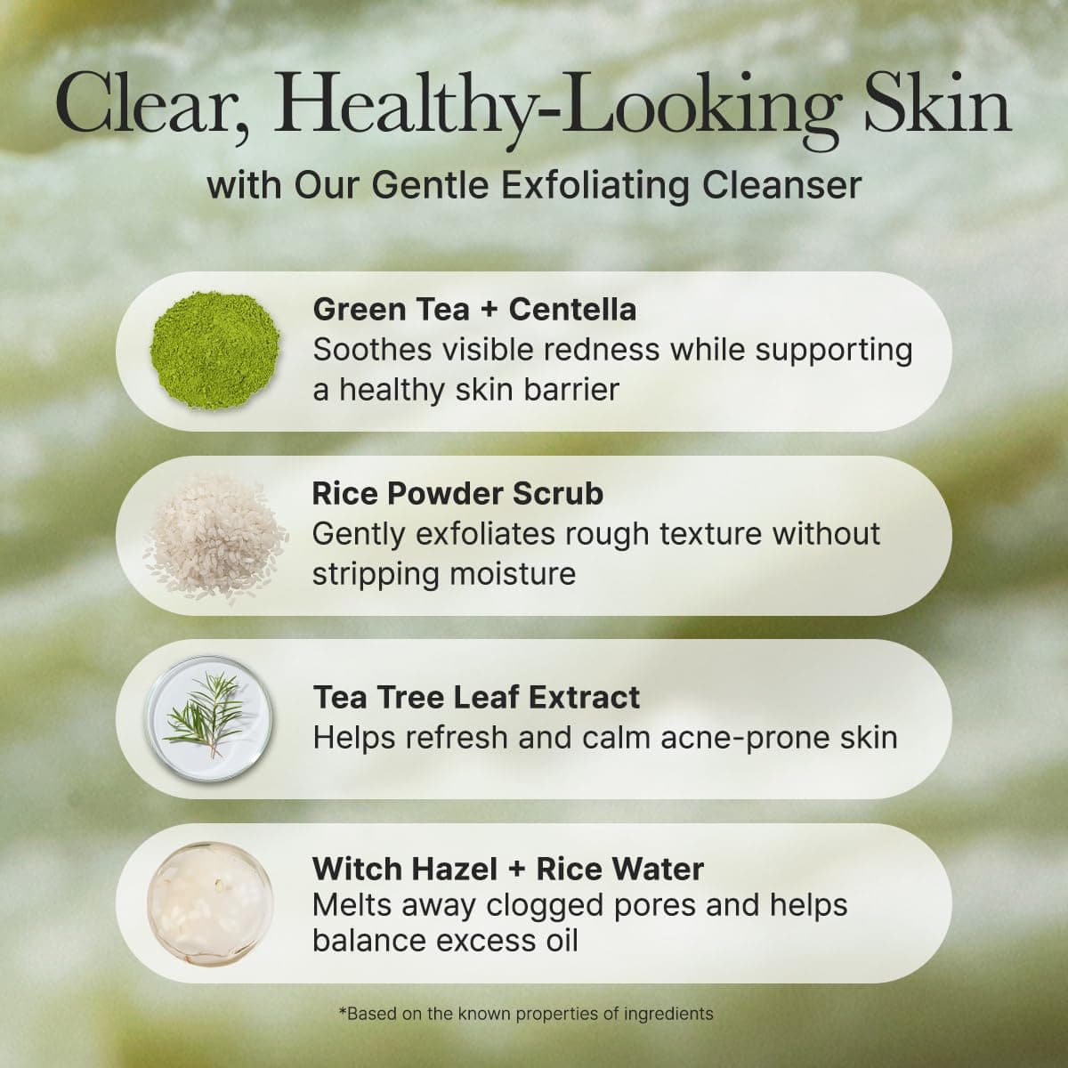 Fresh Green Rice Mochi Cleanser 5
