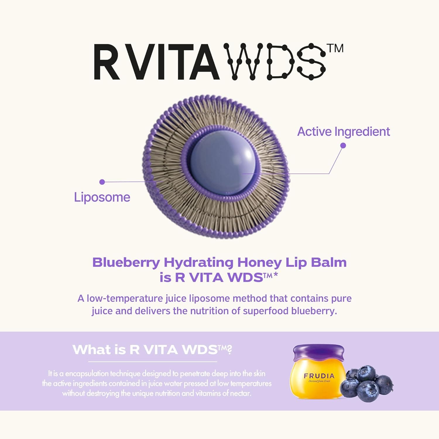 Blueberry Hydrating Honey Lip Balm 7
