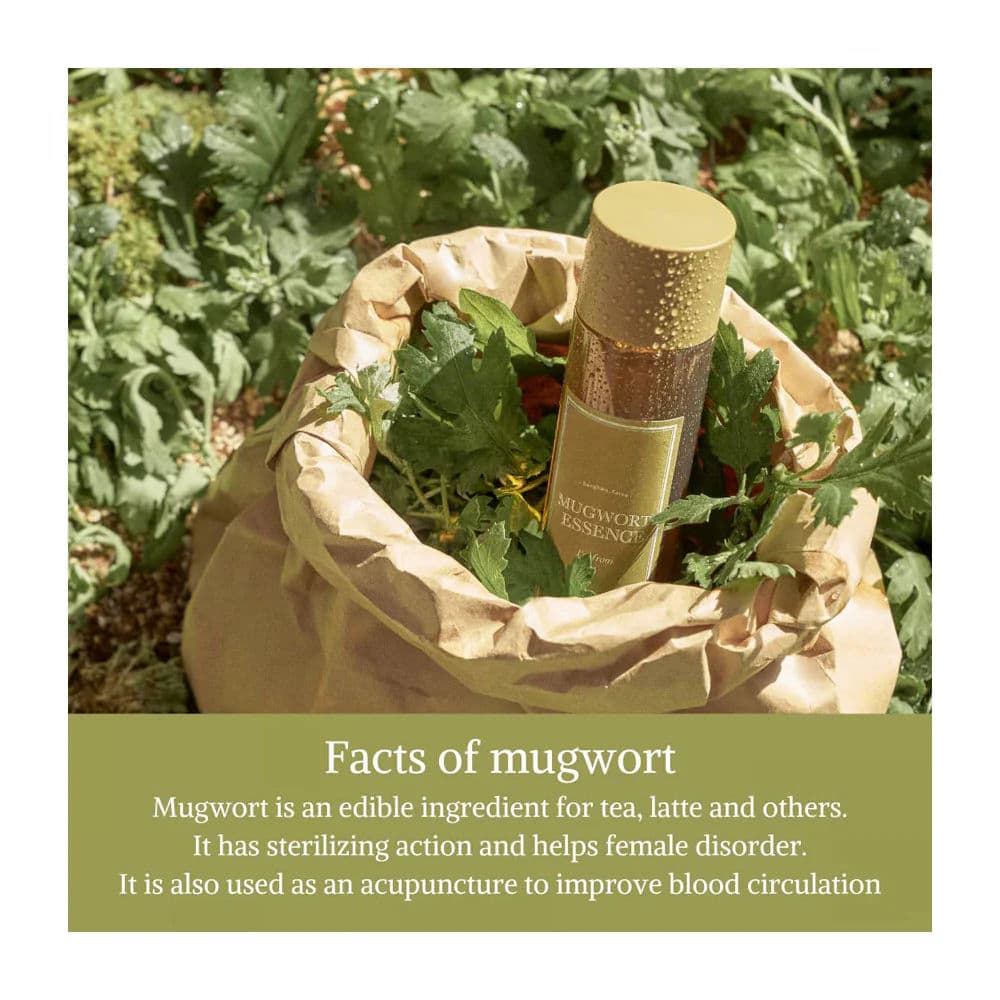 Mugwort Essence Mini 4