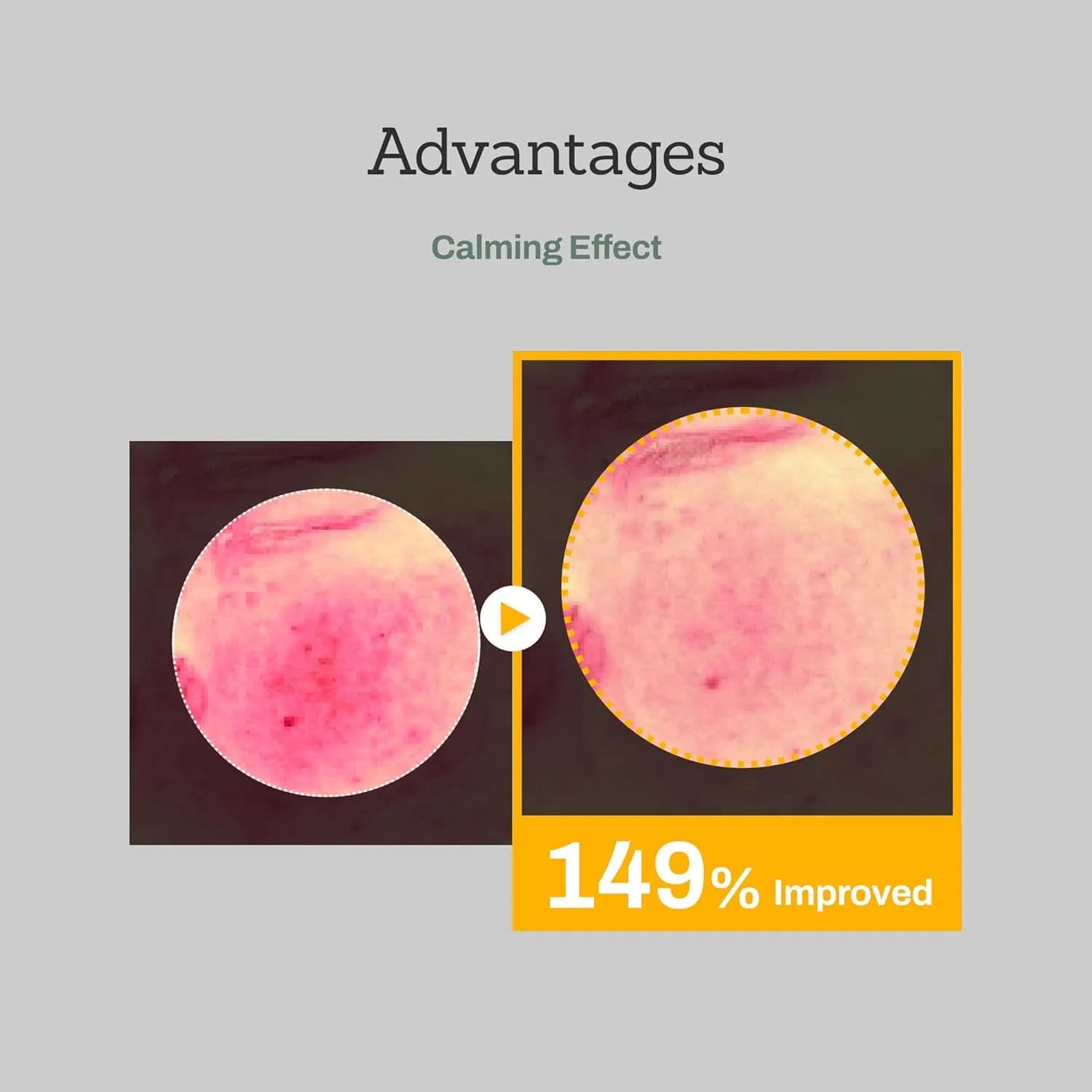 Mugwort Super Calming Toner 4