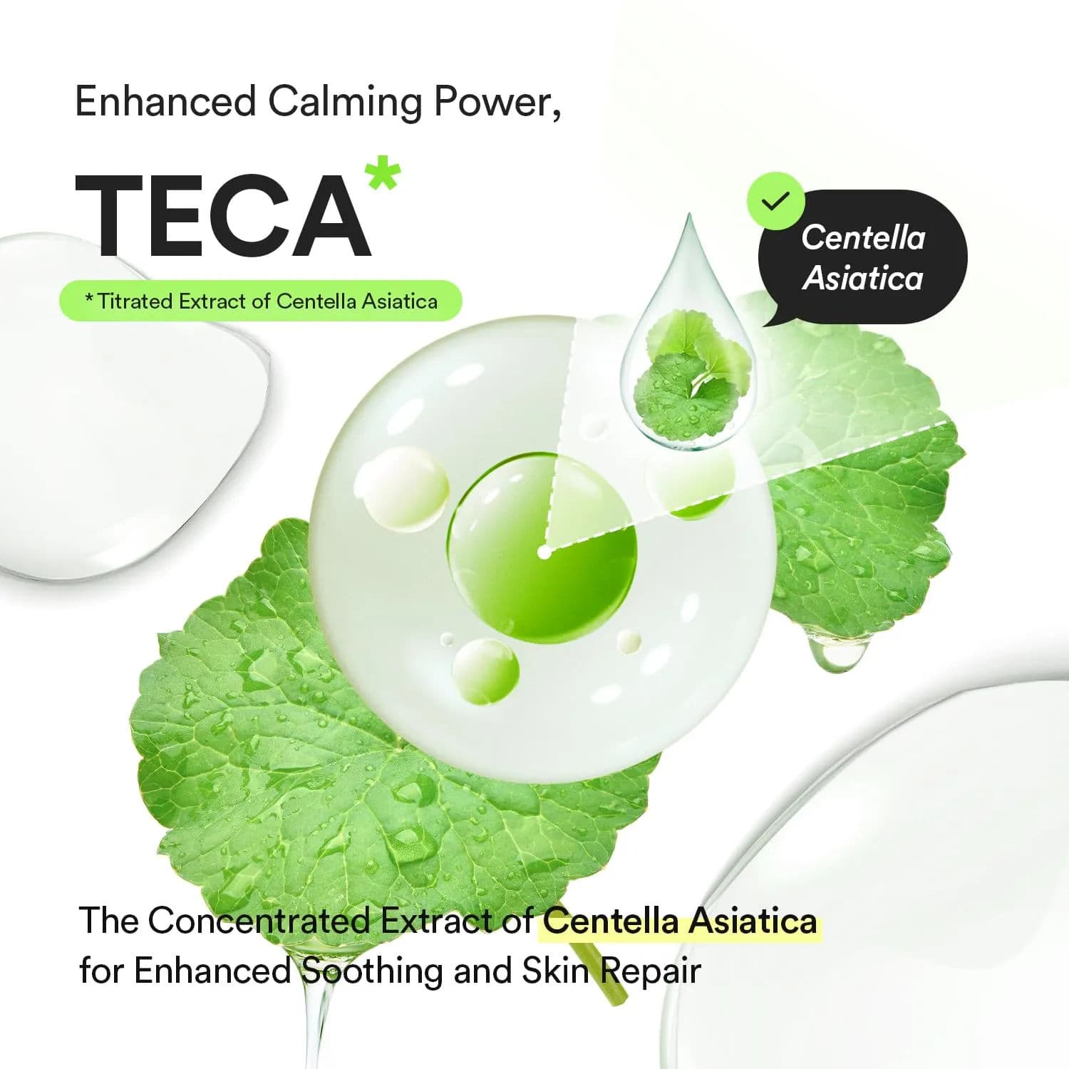 Heartleaf TECA Capsule Serum Calming Drop 5