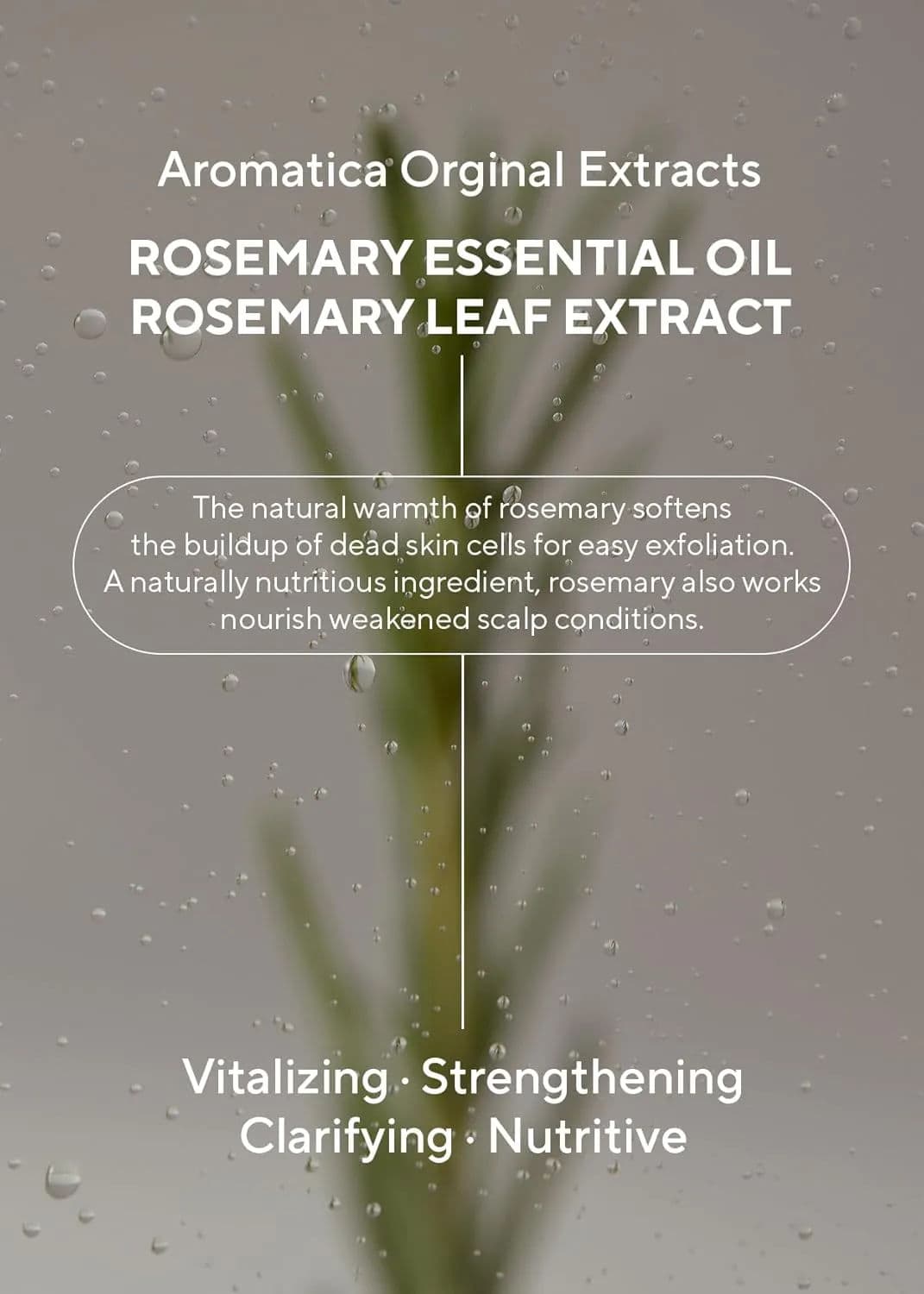 Rosemary 3-in-1 Treatment 5