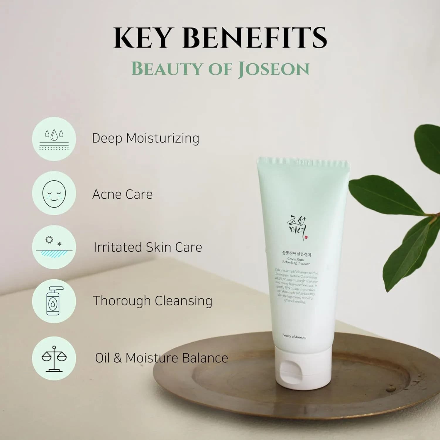 Green Plum Refreshing Cleanser 3
