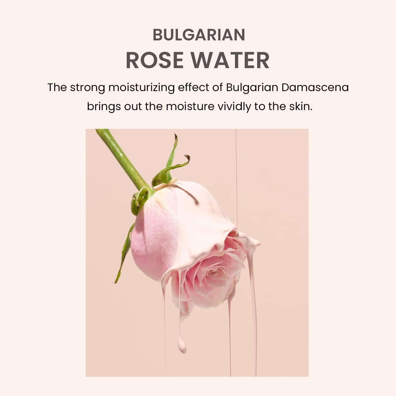 Bulgarian Rose Water Hydrogel Eye Patch 5