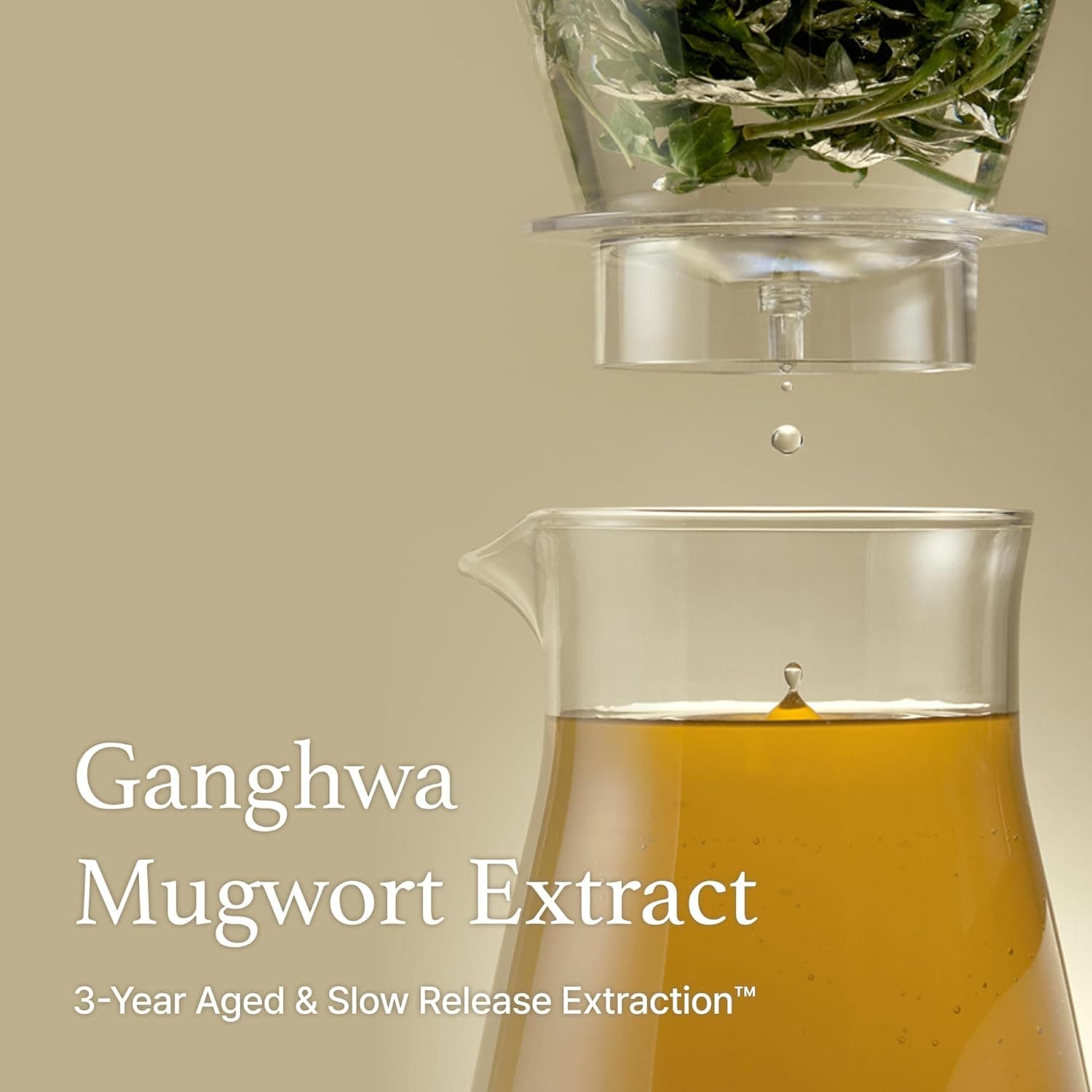 Mugwort Essence 3