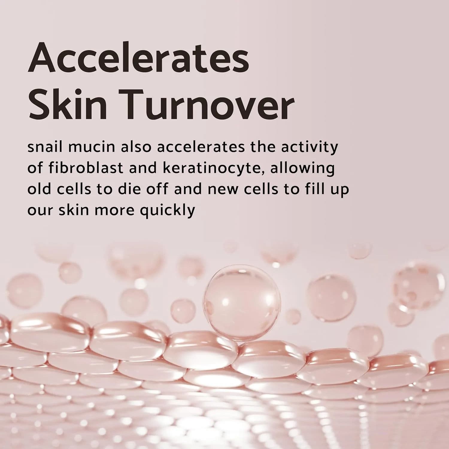 Black Snail Restore Cream 4