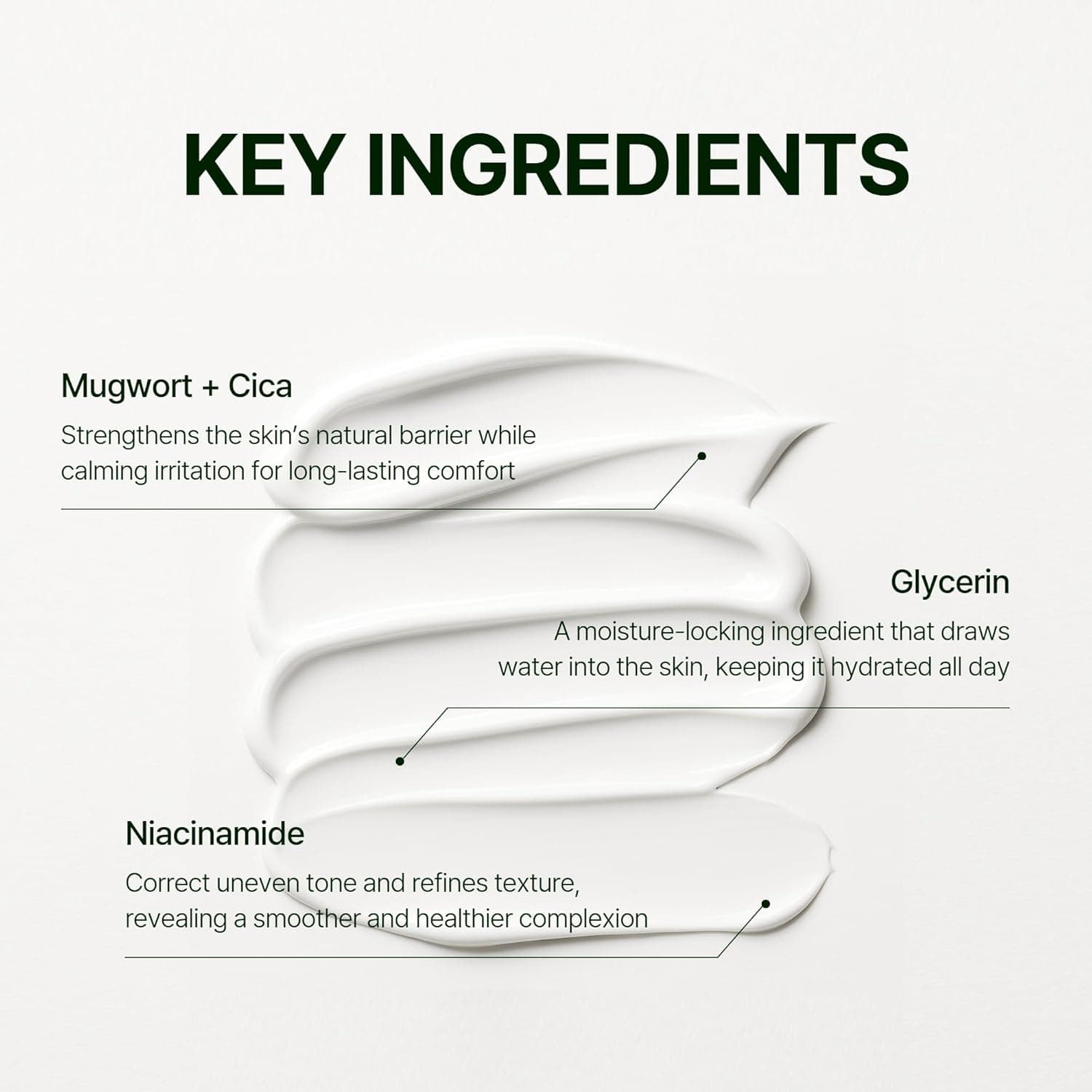 Mugwort Zero Film Moisturizer 4